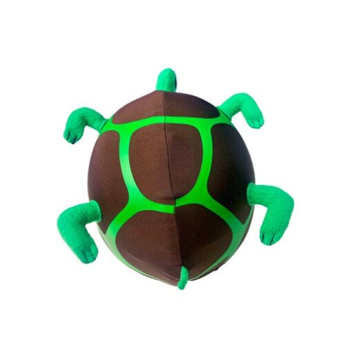 056_Turtle_4
