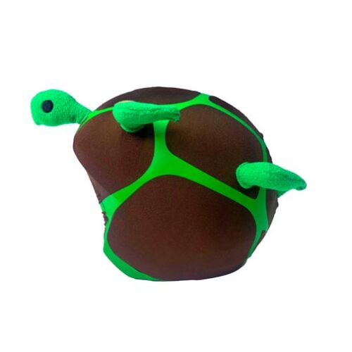 056_Turtle_3