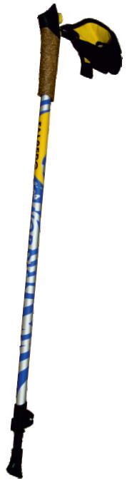 NORDICA blue