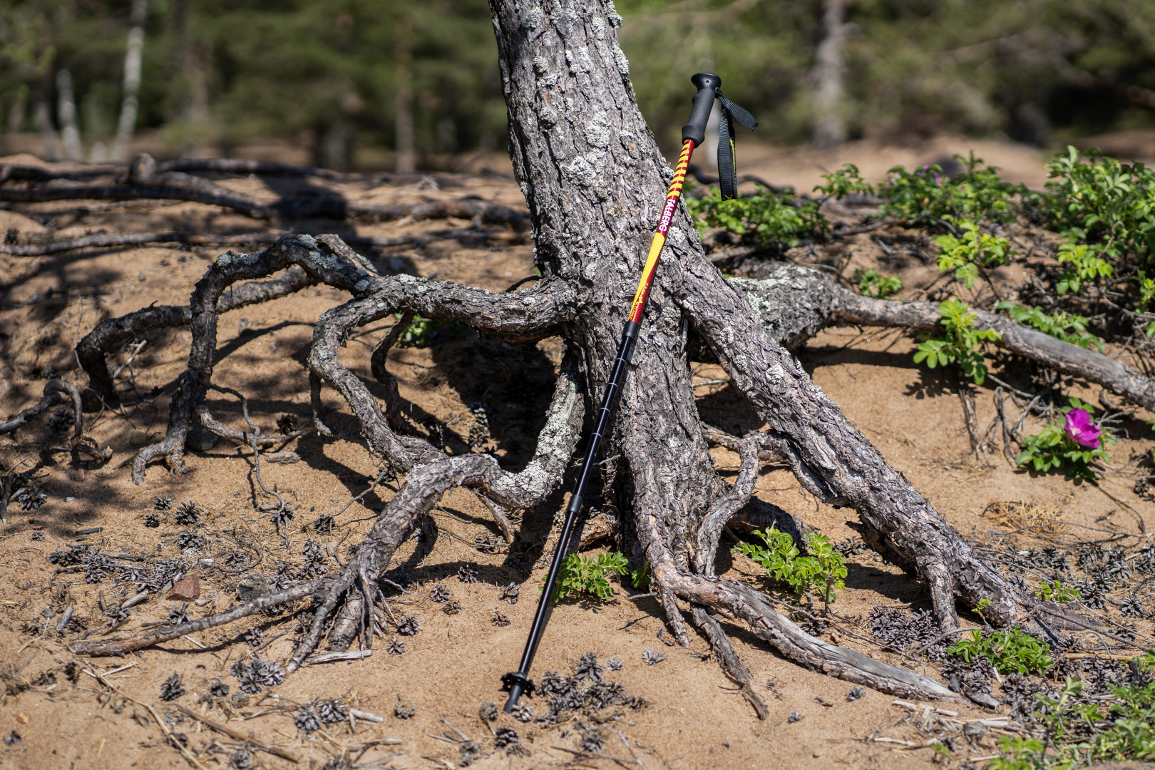 TLP-200_classic-red_4