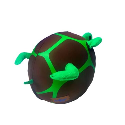 056_Turtle_2