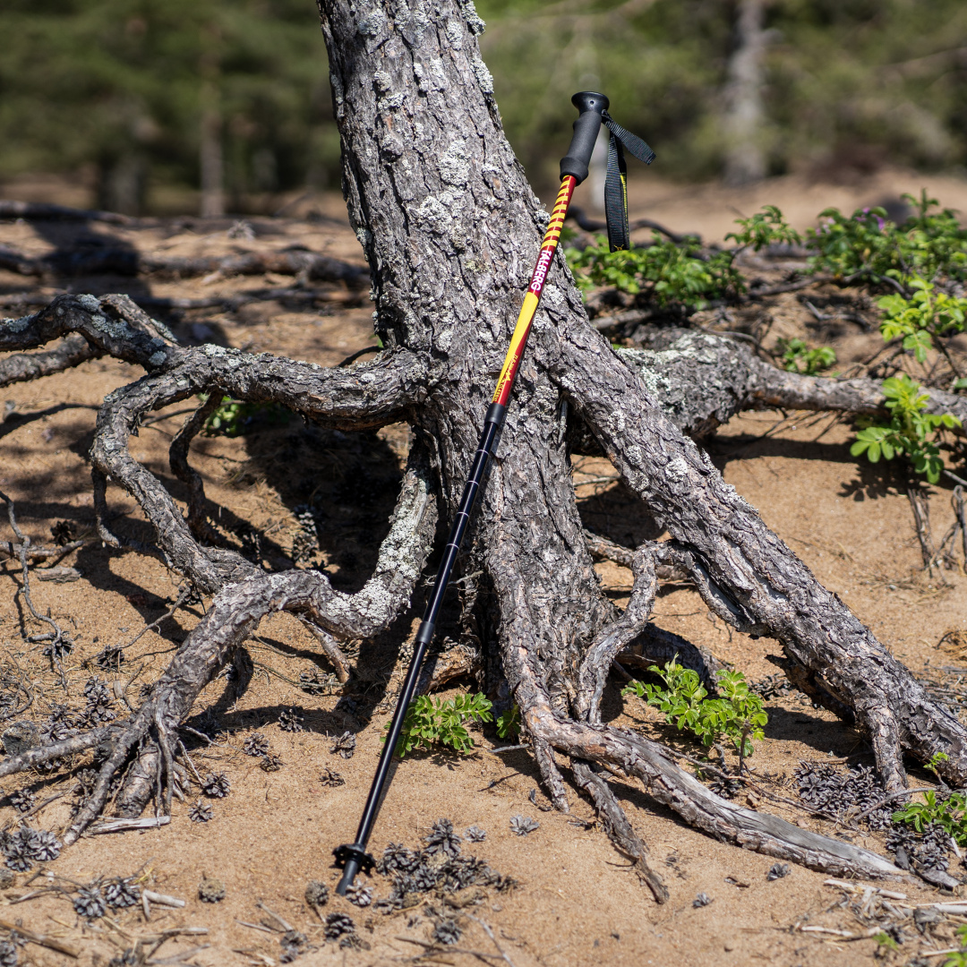 TLP-200_classic-red_3