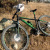043_Koala-Bicicleta