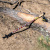 TLF-204_nordica-4