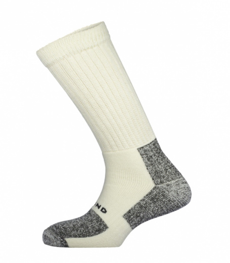 207_Tesla_бежевый_2