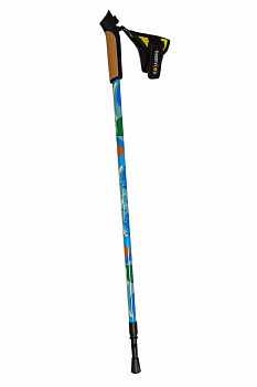 ENERGY палки для скандинавской ходьбы