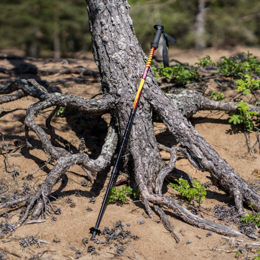 TLP-200_classic-red_3