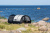 DSC_0578 копия