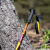 TLP-200_classic-red_5