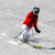 043_Koala-Ski