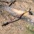 TLF-204_nordica-4
