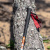 TLP_212_ranger-5