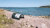 DJI_0111